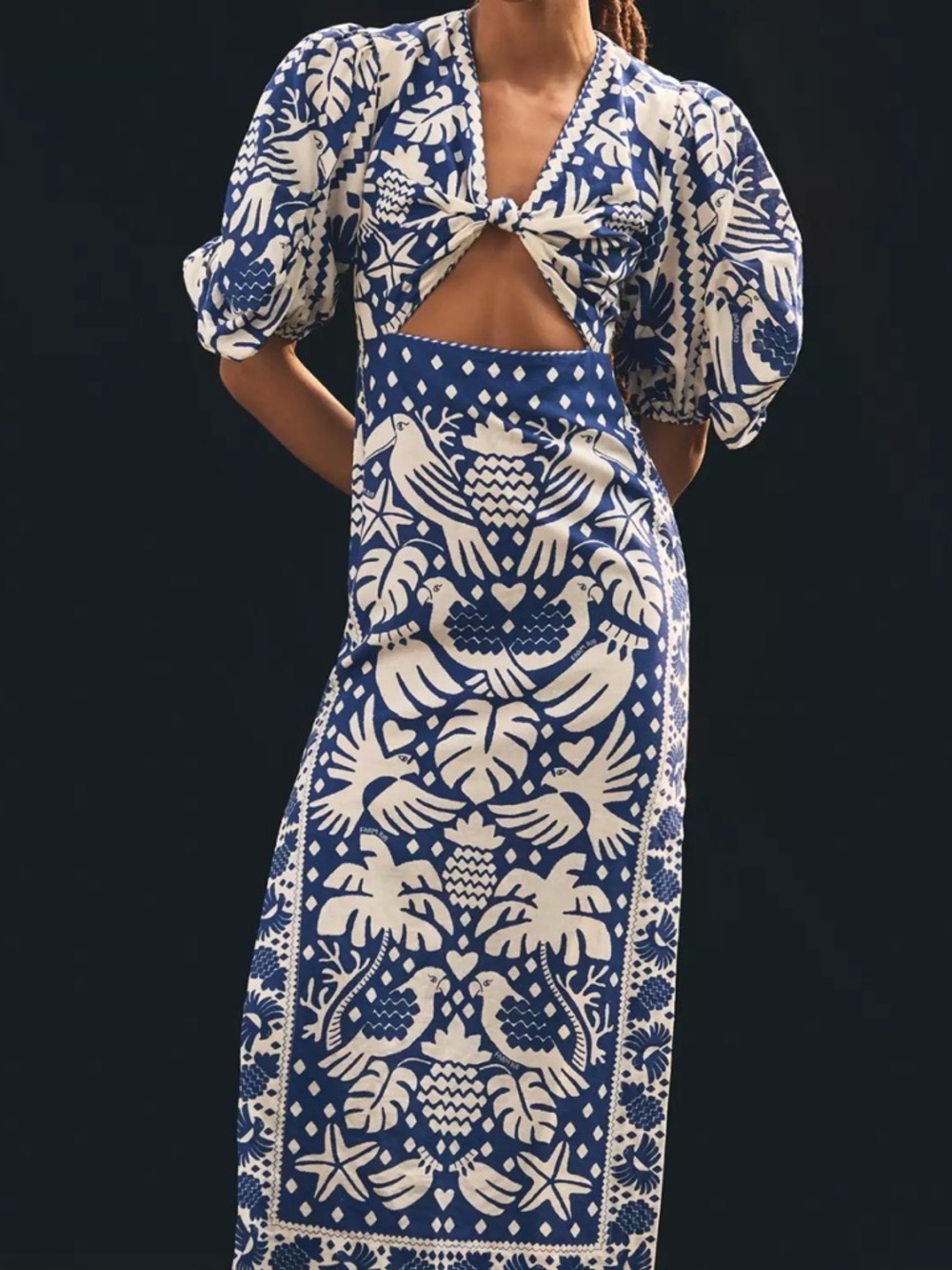 FARM Rio Blue and White Botanical Cutout Maxi Dress NWT Size Small - Picture 1 of 12